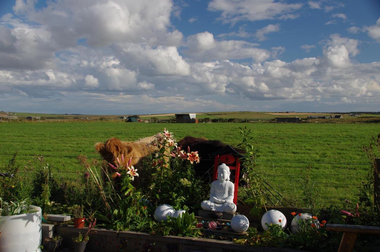 Carrig Lios Panzió Thurso Kültér fotó